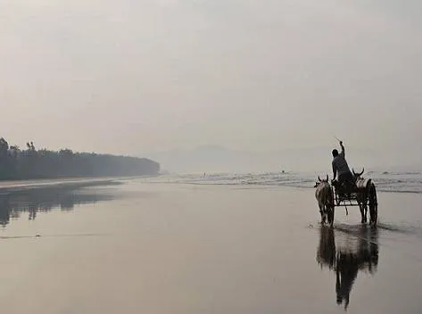 Akshi Beach
